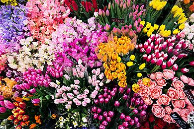 《星之后裔：吠陀骑士》Steam上线 玩家差评：换皮手游