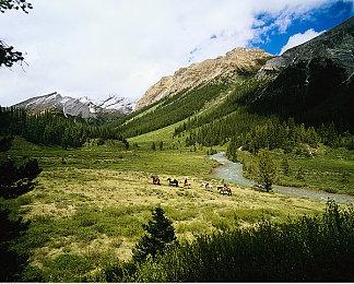 《光与影：33号远征队》发售33天全球销量突破330万份