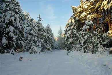 《超级威利世界》PC版免费发布 米老鼠动作新游